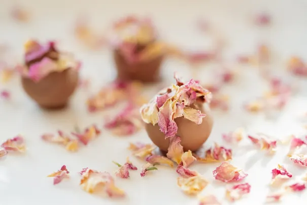 Casino Bella Vegas Android/iOS Forrit